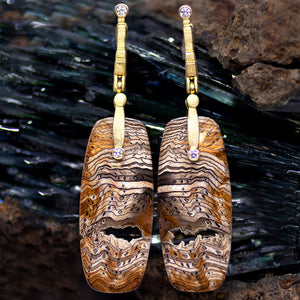 "Sticks and Stones" Hells Canyon Petrified Sequoia Wood Earrings