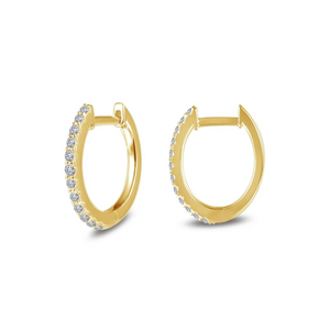 
                
                    Load image into Gallery viewer, Oval Huggie Hoops - Gold
                
            