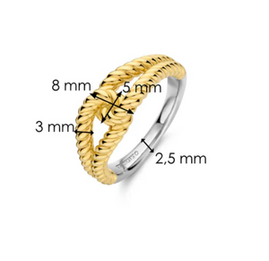 Braided Knot Ring