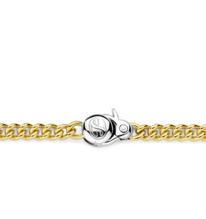 Gold Curb Chain Bracelet