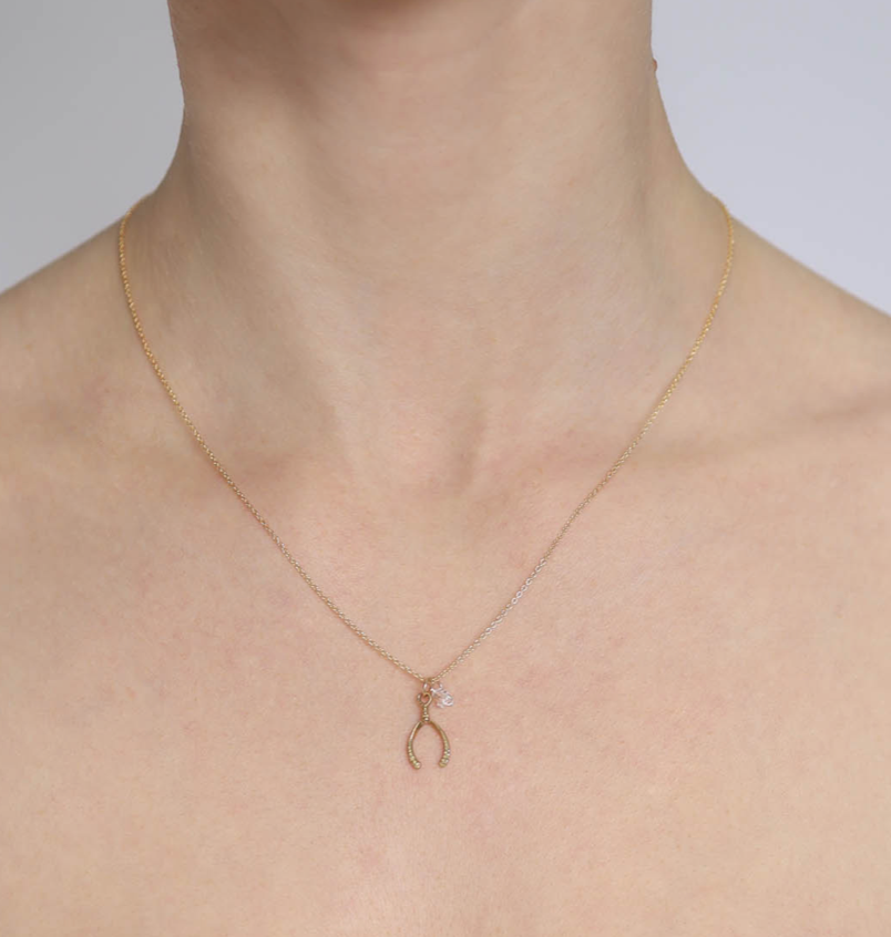 "Bobby" Petite Wishbone Necklace