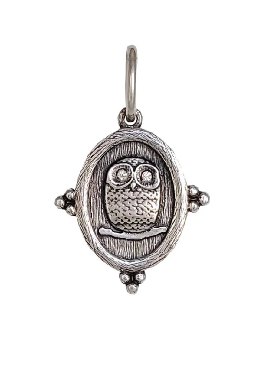 Baby Owl + North Star Charm