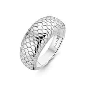 
                
                    Load image into Gallery viewer, Silver Snake Ring
                
            