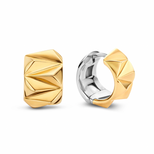 
                
                    Load image into Gallery viewer, Gold Geometric Hoops
                
            